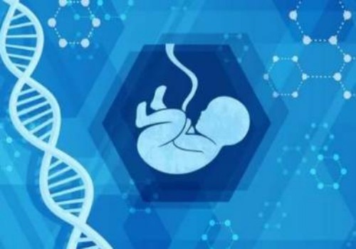 寧波助孕公司：媽富隆調理月經也有副作用，引起肝臟損傷是其中之一